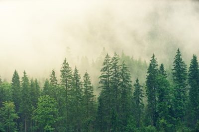 Metsästäjämiehelle ja -naiselle jännittävät jouluvaatteet
